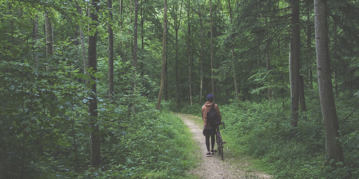 The Bike Trip